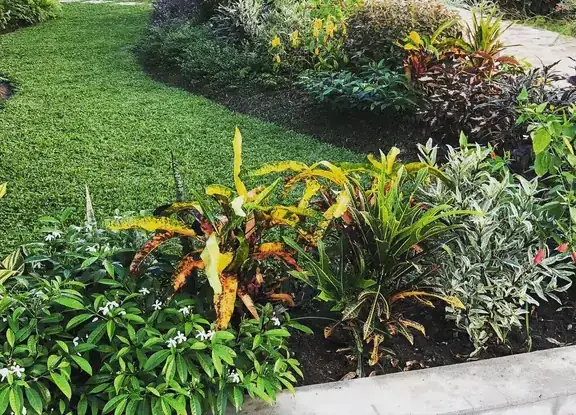 Neat lawn edge meeting thick mixed borders