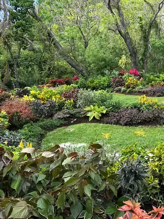 Layered flowering beds meeting a trimmed lawn