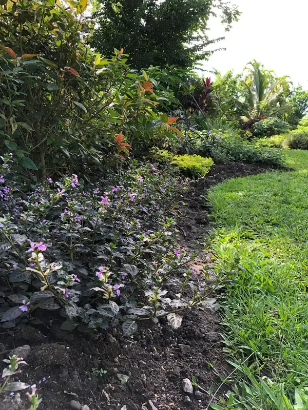 Large boulders and planting forming a dry creek bed